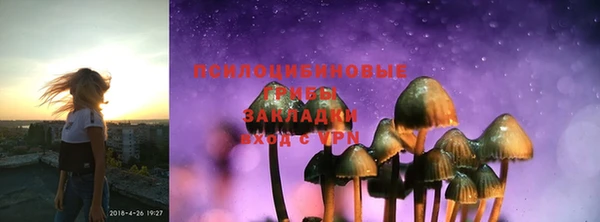 мдма Богданович