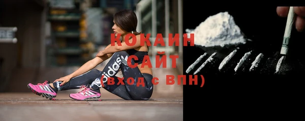 2c-b Богородицк