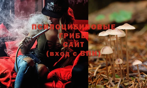 2c-b Богородицк