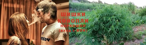 2c-b Богородицк