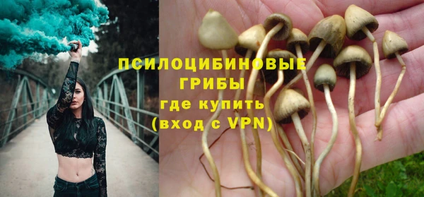 мдма Богданович