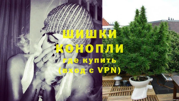 2c-b Богородицк