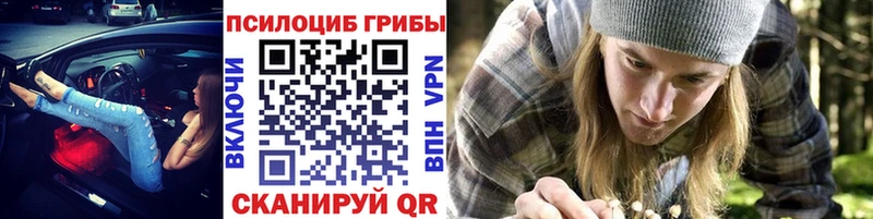 Купить где  Майский  Галлюциногенные грибы мицелий 